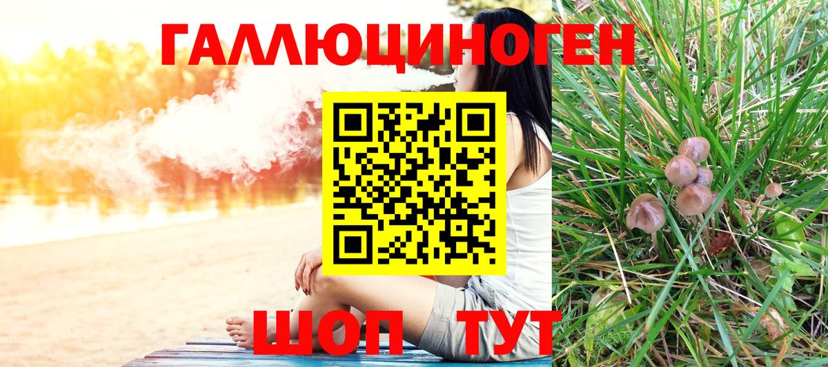 Псилоцибиновые грибы Psilocybe  Вход с VPN  наркошоп  Лысьва  Псилоцибиновые грибы прущие грибы 
